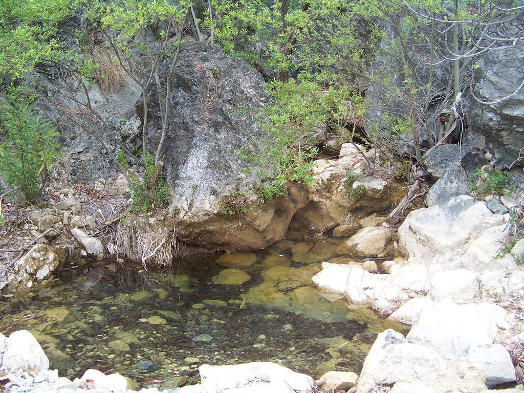 Hostal Sango Sierra De Las Nieves Alozaina Eksteriør billede